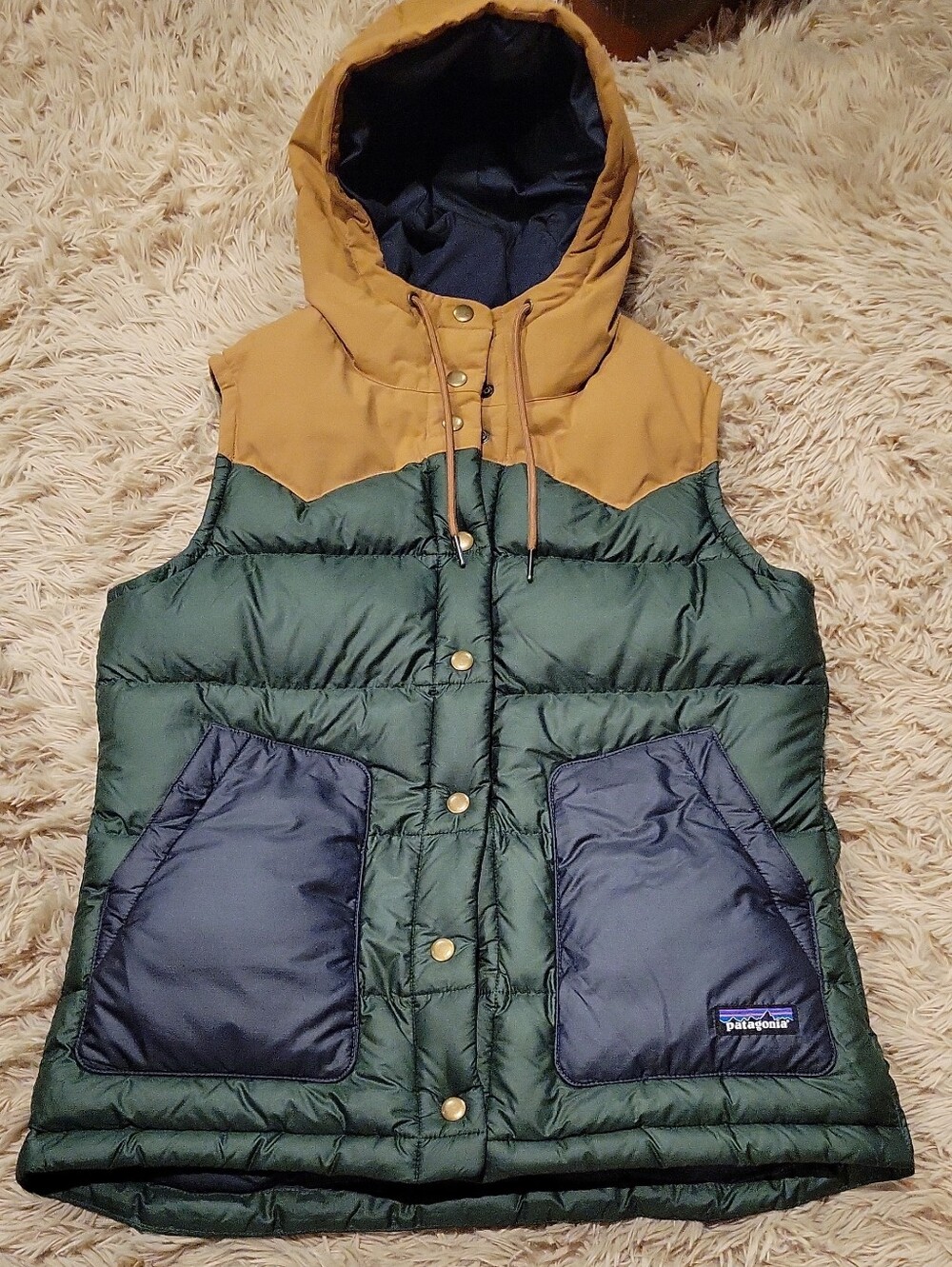 Patagonia Women's Bivy Hooded Down Filled Vest